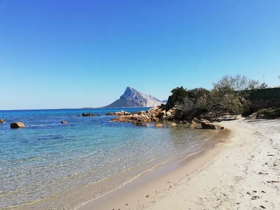 Vacanze A Monte Petrosu 0*,  Itália